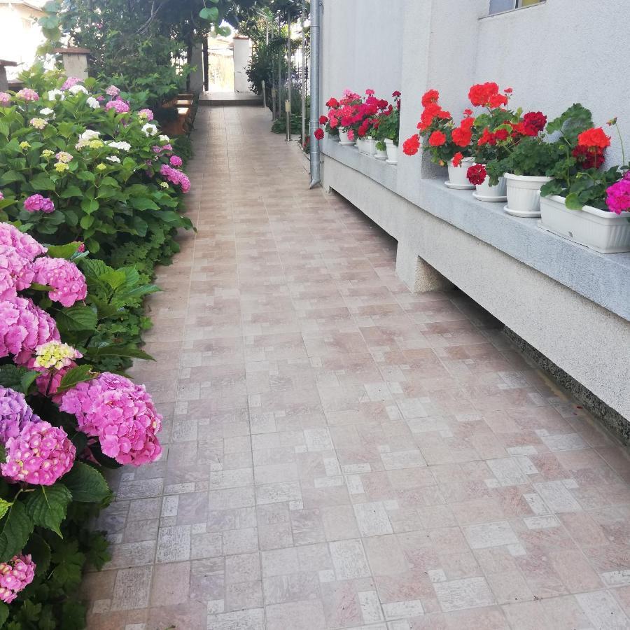 Albatros 2 Family Hotel Китен Экстерьер фото