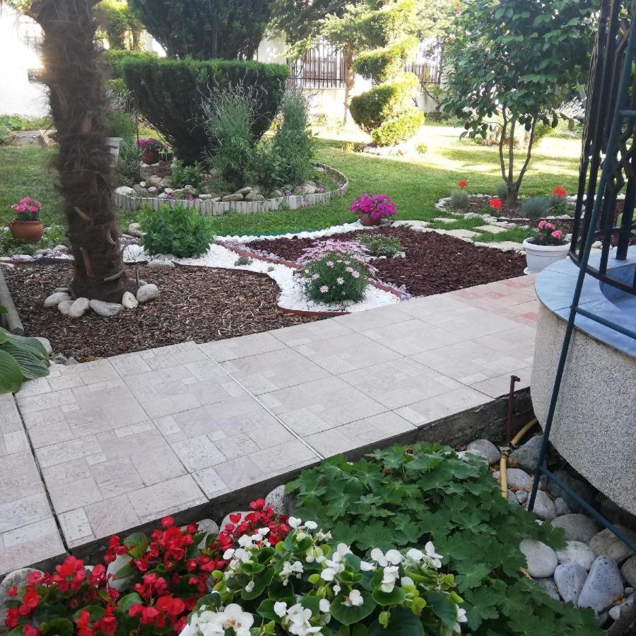Albatros 2 Family Hotel Китен Экстерьер фото